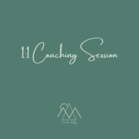 1:1 Coaching Session - Reset 2024